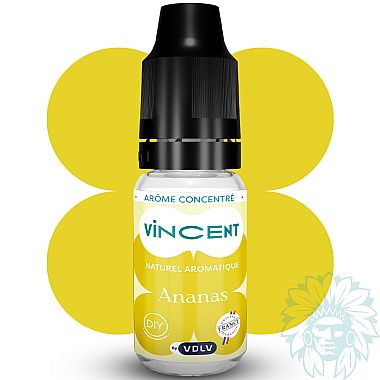 Vincent Ananas (Pineapple) concentrate