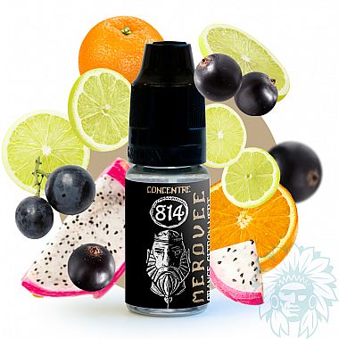 814 Mérovée concentrate