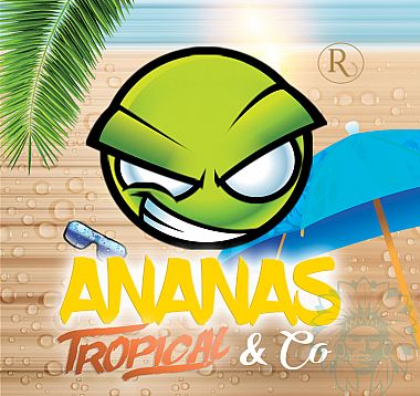 Exo Ananas Tropical & Co (Pineapple Tropical & Co) concentrate