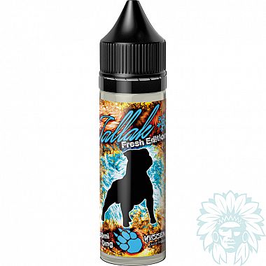 Vape Institut Tallak Fresh 50ml shortfill e-liquid