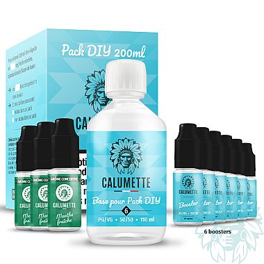 DIY pack Fresh Mint 200ml