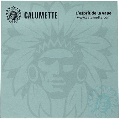 Calumette blue with watermark sticky notes