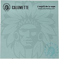 Calumette blue with watermark sticky notes