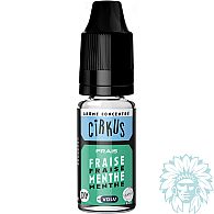 Cirkus Fraise Menthe (Strawberry Mint) concentrate