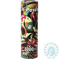 Accu X Power 21700 - 5000mAh - 30 A (Vendu à l'unité)